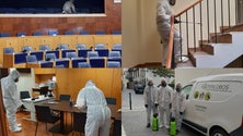 Imagem de Covid-19: Assembleia Legislativa da Madeira prepara retorno à normalidade