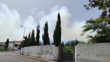 Imagem de Incêndio está a progredir para o Santo da Serra (áudio)