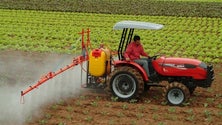 Imagem de Legislativas 2019: Paulo Moniz vai lutar pela valorização da produção agrícola regional [Vídeo]