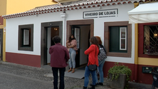 Imagem de Viveiro de Lojas acolhe  sete artesãos (vídeo)