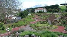 Governo amplia viveiros do jardim botânico do Faial (Vídeo)
