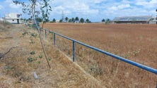 Imagem de Portosantense acredita até 30 de junho a equipa vai ter condições de jogar no próprio campo (áudio)