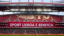 Imagem de Benfica realiza eleições ainda este ano