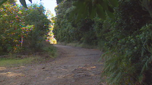 Imagem de Governo confia no parecer da estrada das Ginjas (vídeo)