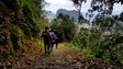 Imagem de Caminheiros percorrem 184 km em 8 dias