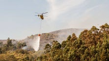Imagem de Vai haver meio aéreo de combate a incêndios na Madeira todo o ano, acredita José Dias (Vídeo)