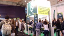 Imagem de Madeira é a região convidada do Salão Imobiliário de Portugal