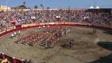 Imagem de Sanjoaninas: Primeira corrida celebrou Bodas de Ouro dos Forcados da Tertúlia Tauromáquica Terceirense