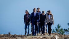 Imagem de Reflorestação do Chão das Aboboreiras custa 315 mil euros