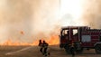Imagem de Bombeiros vão receber 81 veículos