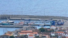 Imagem de Governo incentiva pesca sustentável (Vídeo)