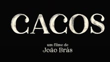Imagem de Madeirense nomeado para Festival de Cinema (áudio)