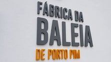Fábrica da Baleia do Porto Pim organiza oficina de máscaras de Carnaval (Vídeo)
