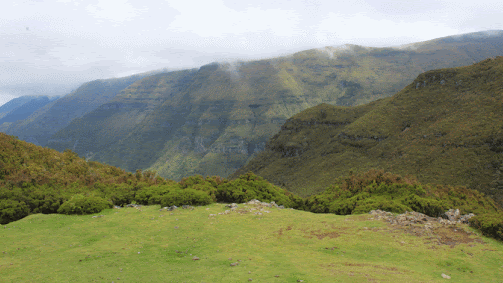 Imagem de Suspensas as buscas pelo turista alemão desaparecido nas serras da Calheta