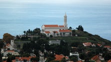 Imagem de Aprovada melhoria de jardins em São Martinho