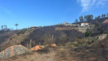 Imagem de Calheta continua a repor abastecimento de água depois dos incêndios (áudio)