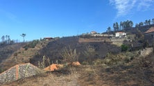 Calheta continua a repor abastecimento de água depois dos incêndios (áudio)