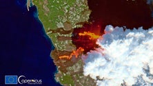 Imagem de Cumbre Vieja aumentou 43 hectares a extensão de La Palma