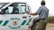 Policia Florestal identifica empresa de BTT a circular num percurso pedestre