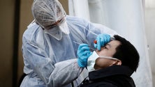 Imagem de Covid-19: Portugal já fez quase 1,5 milhões de testes desde o início da pandemia