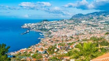 Imagem de Covid-19: Empréstimos às empresas não devem constar da dívida total da Madeira, pede CDS-PP