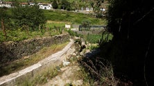 Imagem de Funchal emite 300 notificações para limpeza de terrenos