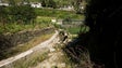 Imagem de Funchal emite 300 notificações para limpeza de terrenos