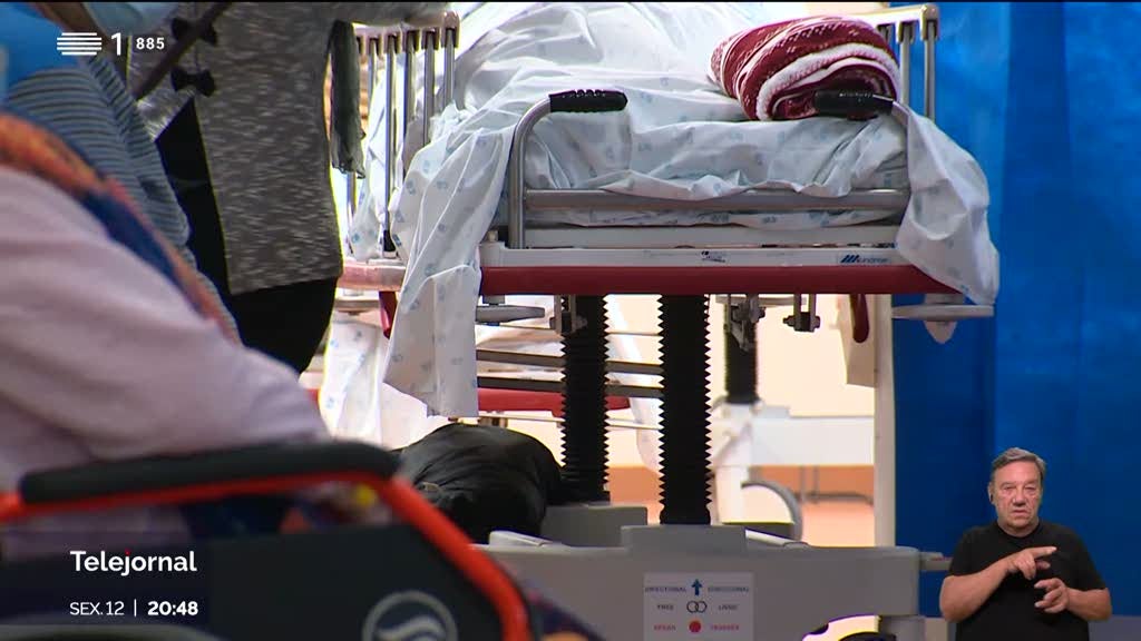 Deixado alerta para fungo hospitalar resistente a medicamentos