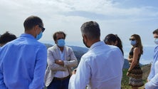 Imagem de Albuquerque pede à população que não entre em pânico perante casos de Covid-19 (Áudio)