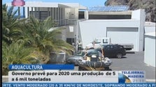 Imagem de Produção  de aquacultura deve crescer entre 5 a 6 mil toneladas (Vídeo)
