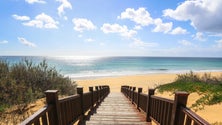 Imagem de Projeto visa proteger dunas do Porto Santo (áudio)