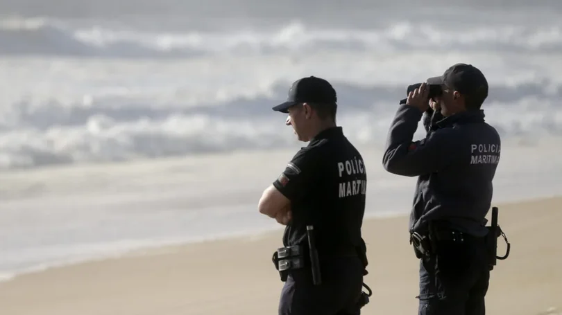 Baleia com cerca de 10 metros arrojou na Fonte da Telha em Almada