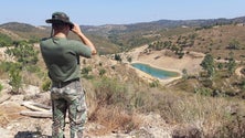 Imagem de Militares madeirenses cumpriram treino operacional no Algarve