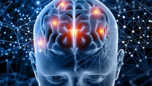 Imagem de Madeira já faz reabilitação cognitiva