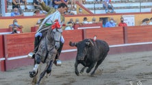 Realizou-se a corrida de toiros da Praia da Vitória (Vídeo)