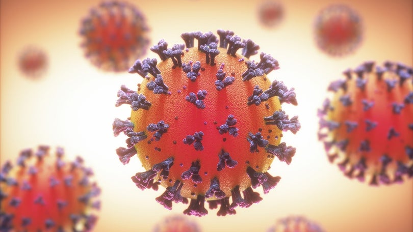 Vírus revela vulnerabilidades úteis para vacinas
