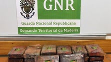 Imagem de GNR apreende 24 quilos de cocaína no Porto Santo