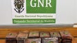 Imagem de GNR apreende 24 quilos de cocaína no Porto Santo