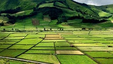 Imagem de Terceira concentra maioria dos achados pré-povoamento (Vídeo)