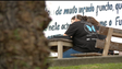 Madeira leva a exame 4.200 alunos (vídeo)