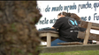 Imagem de Madeira leva a exame 4.200 alunos (vídeo)