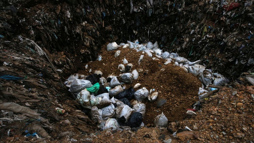 Imagem de Quercus alerta que é urgente reduzir lixo