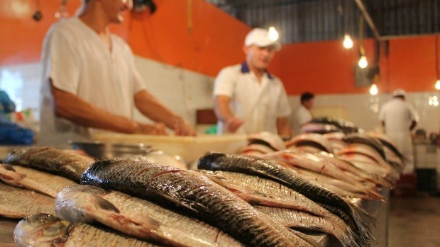 Imagem de Igreja venezuelana dispensa católicos de comer peixe na Semana Santa