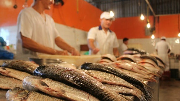 Igreja venezuelana dispensa católicos de comer peixe na Semana Santa