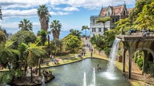 Imagem de UMa desenvolve plataforma para gerir as plantas no Jardim Monte Palace (áudio)