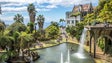 Imagem de UMa desenvolve plataforma para gerir as plantas no Jardim Monte Palace (áudio)