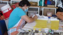 Imagem de Associação procura voluntários em Câmara de Lobos (áudio)