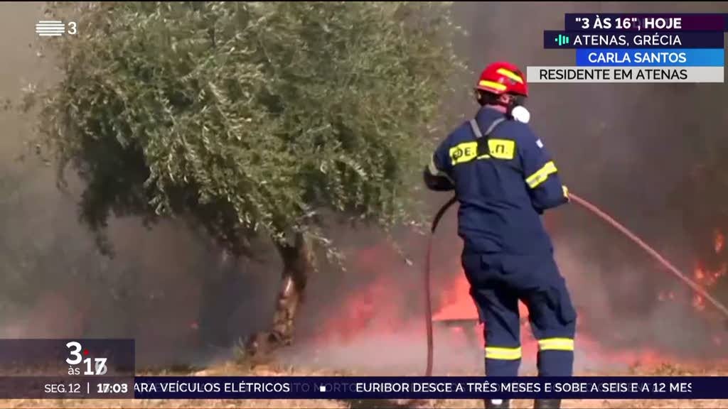 Incêndios em Atenas. Portuguesa diz que ameaça "é real"