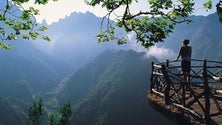Imagem de Turistas elogiam Madeira