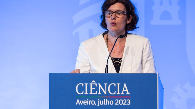 Imagem de Governo aprova proposta de novo estatuto da carreira de investigação científica
